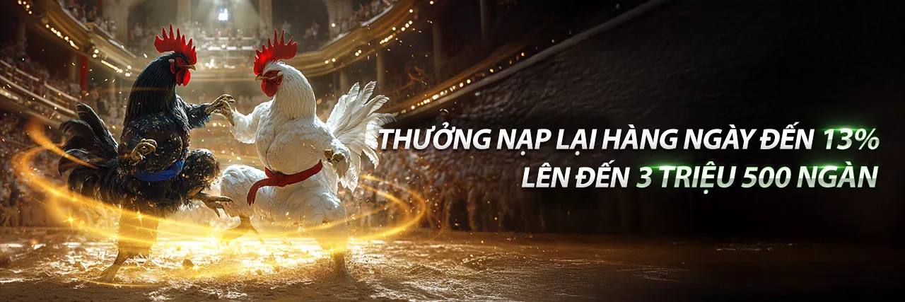 Đá Gà Thomo Trực Tiếp Hôm Nay Nhanh Nhất Hôm Nay